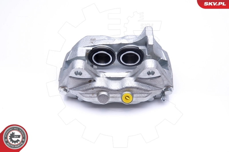Brake Caliper 45SKV131
