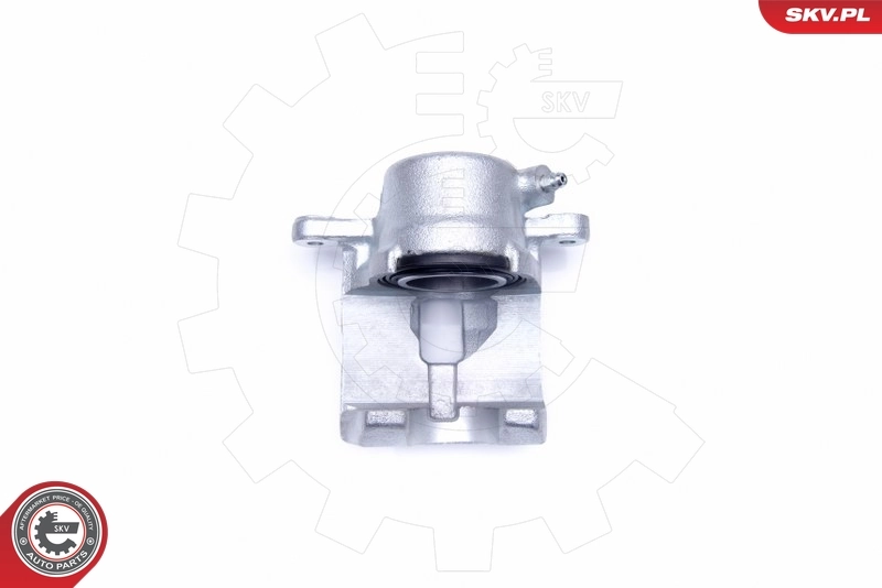 Brake Caliper 44SKV021