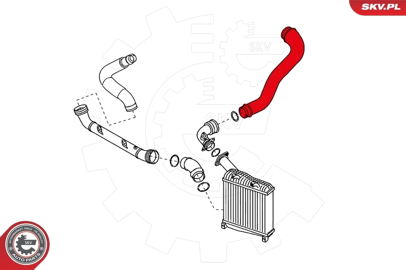 Charge Air Hose 24SKV196