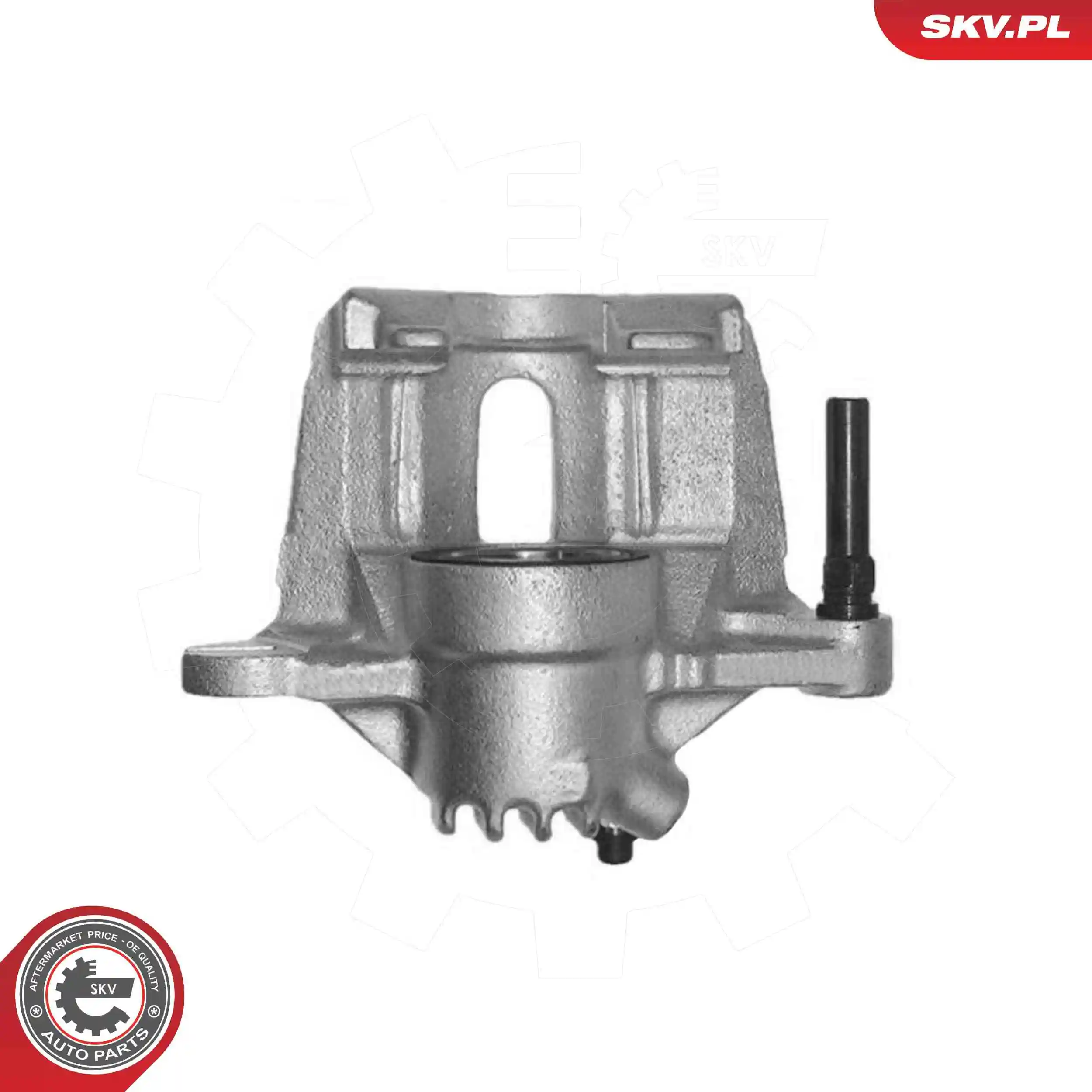 Brake Caliper 79SKV491