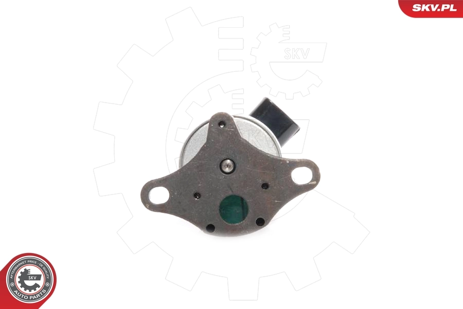 EGR Valve 14SKV041