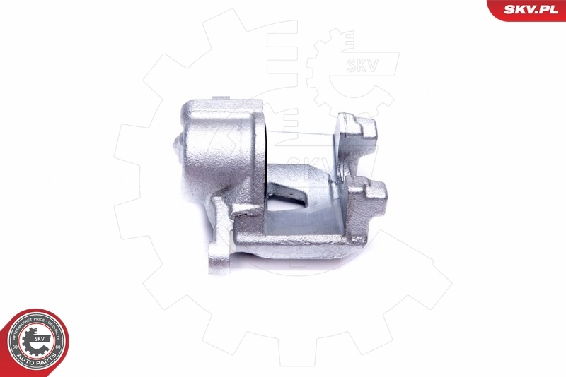 Brake Caliper 42SKV793