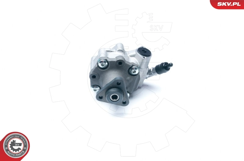 Hydraulic Pump, steering 10SKV184