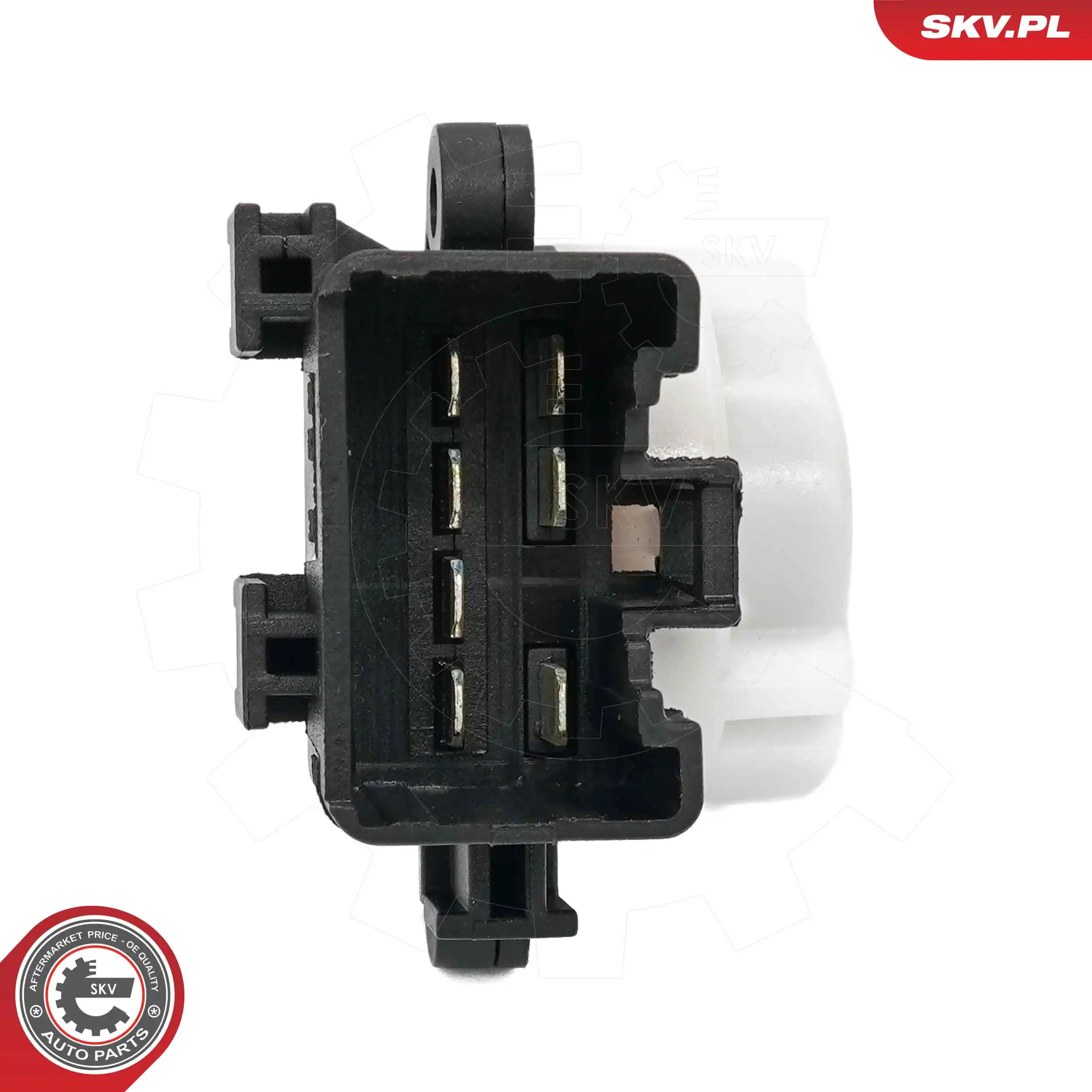 Ignition Switch 65SKV008