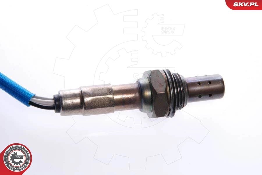 Oxygen Sensor 09SKV029