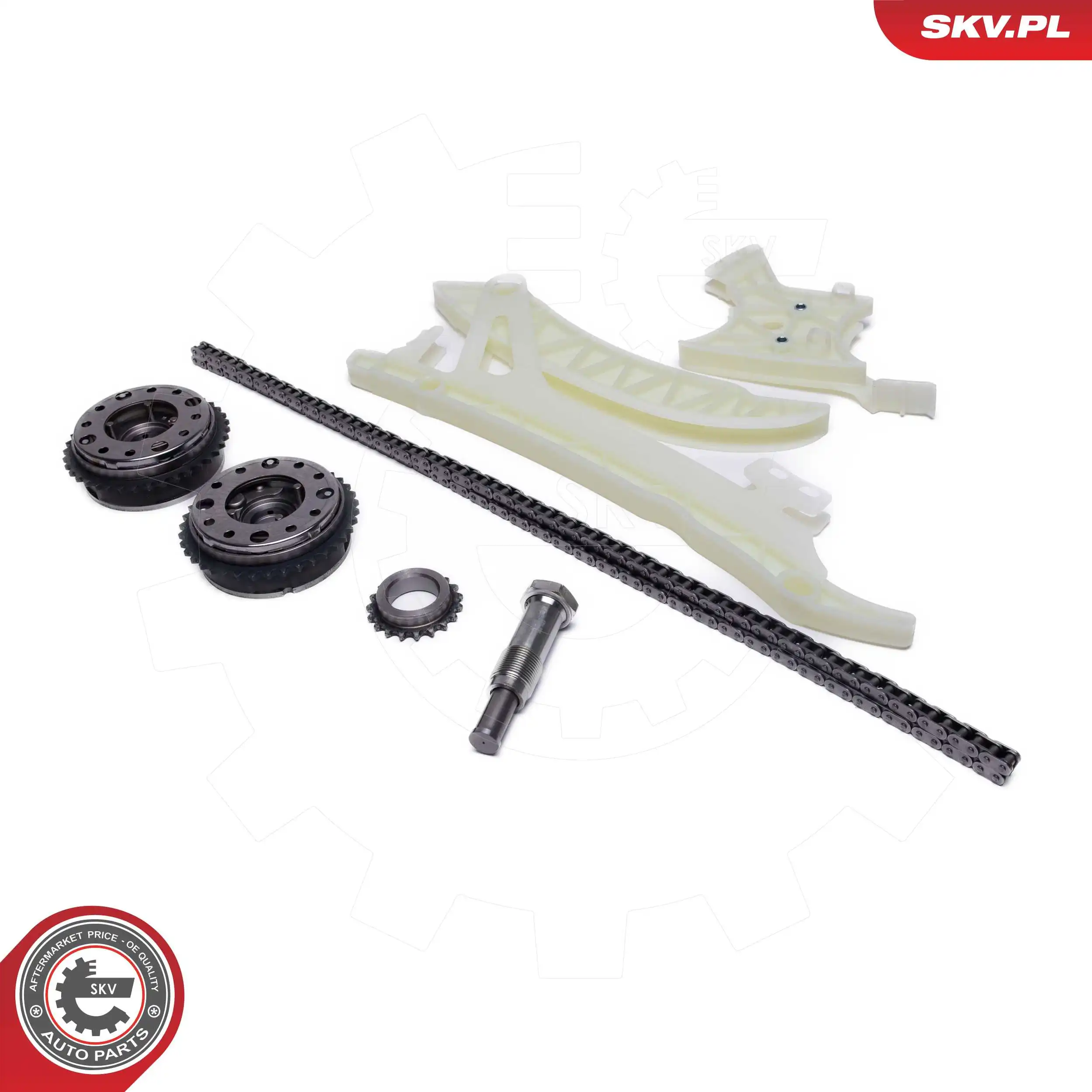 Timing Chain Kit 21SKV256