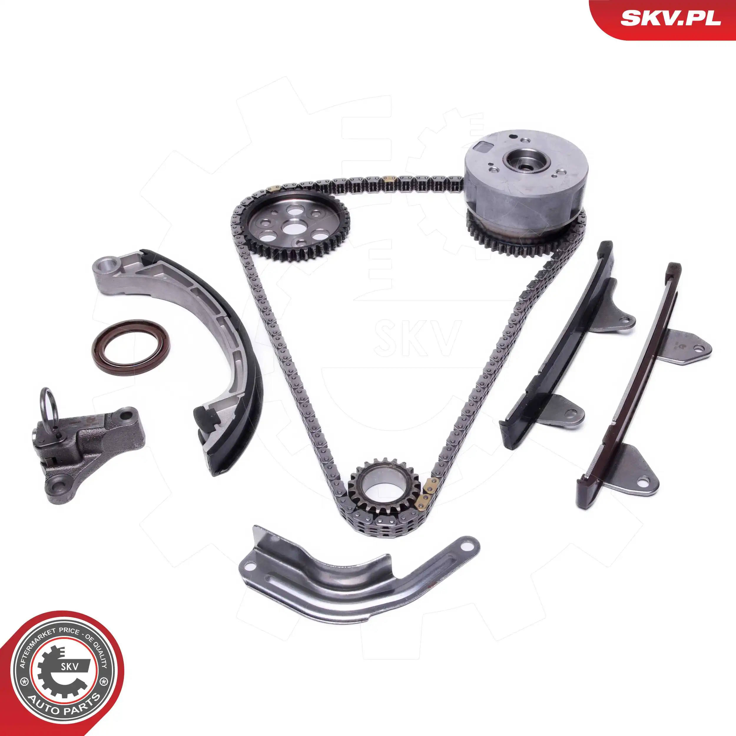 Timing Chain Kit 21SKV259