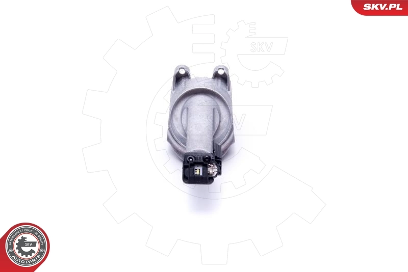 ESEN SKV 59SKV074 Control Unit, lights