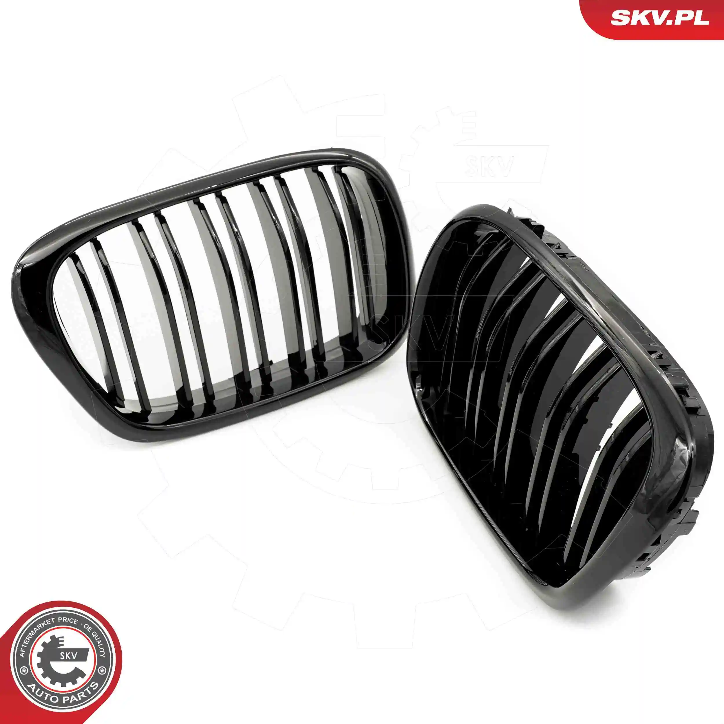Radiator Grille 66SKV161