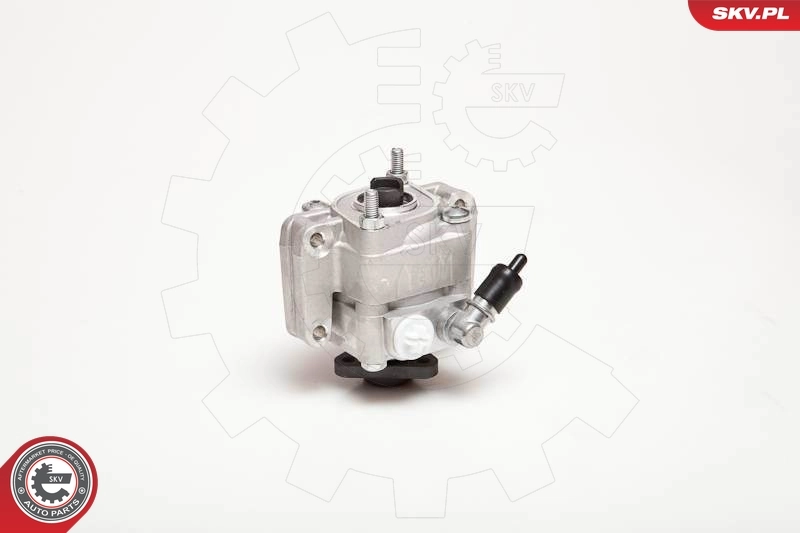 Hydraulic Pump, steering 10SKV088