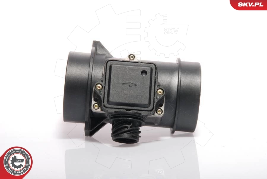 Mass Air Flow Sensor 07SKV113