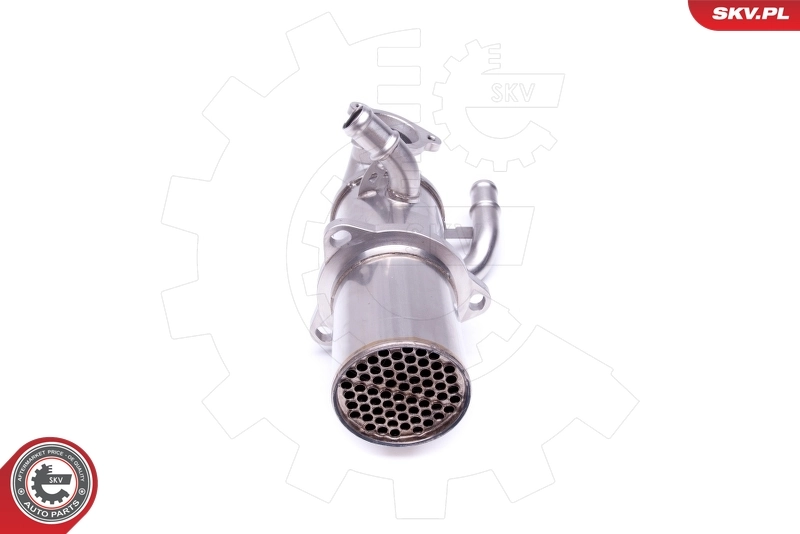 EGR Valve 14SKV222