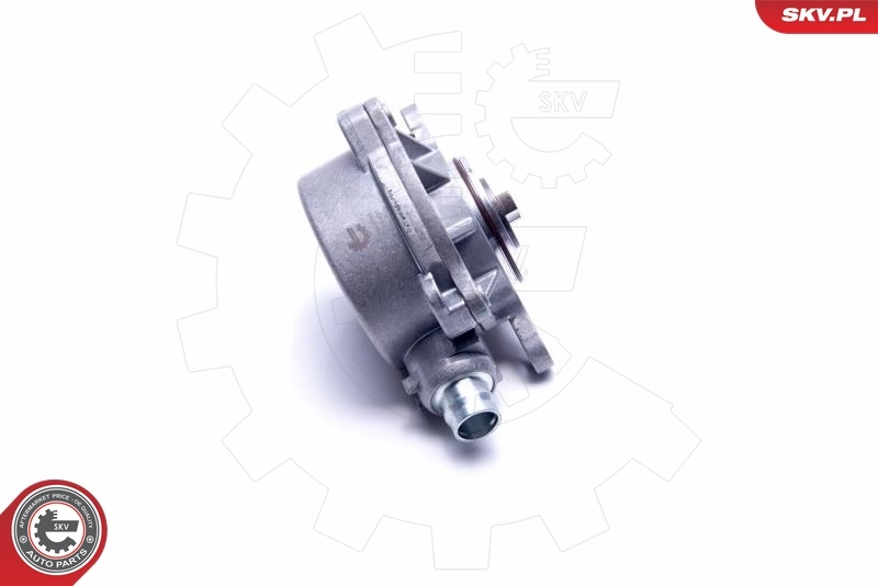 Vacuum Pump, braking system 18SKV048