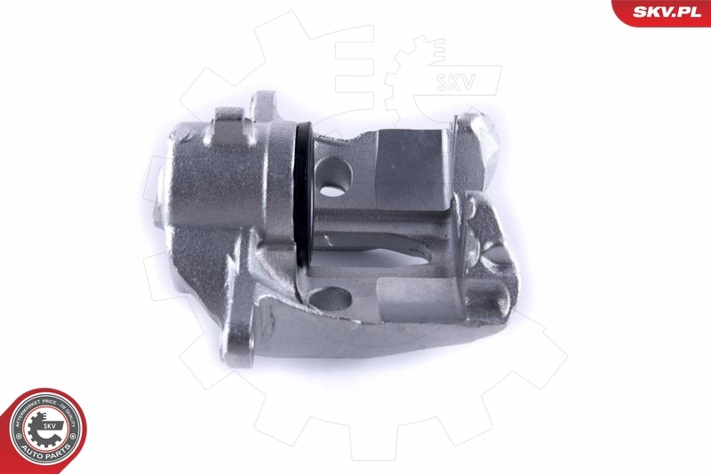 Brake Caliper 55SKV172