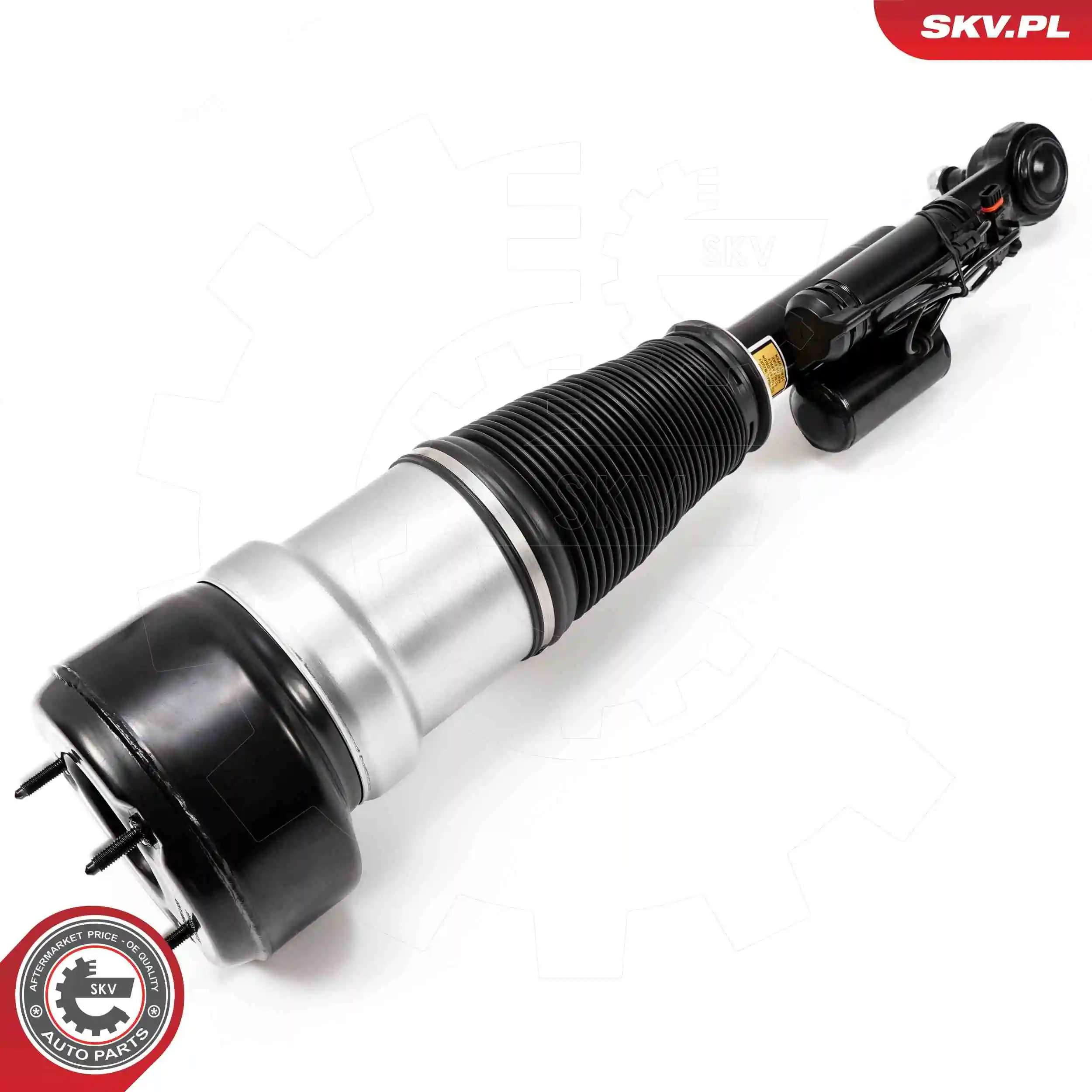 Air Suspension Strut 58SKV722
