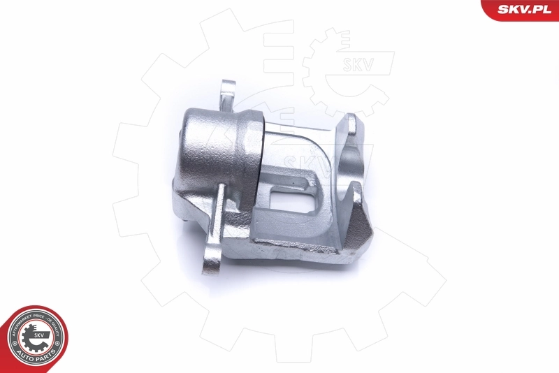 ESEN SKV 45SKV171 Brake Caliper
