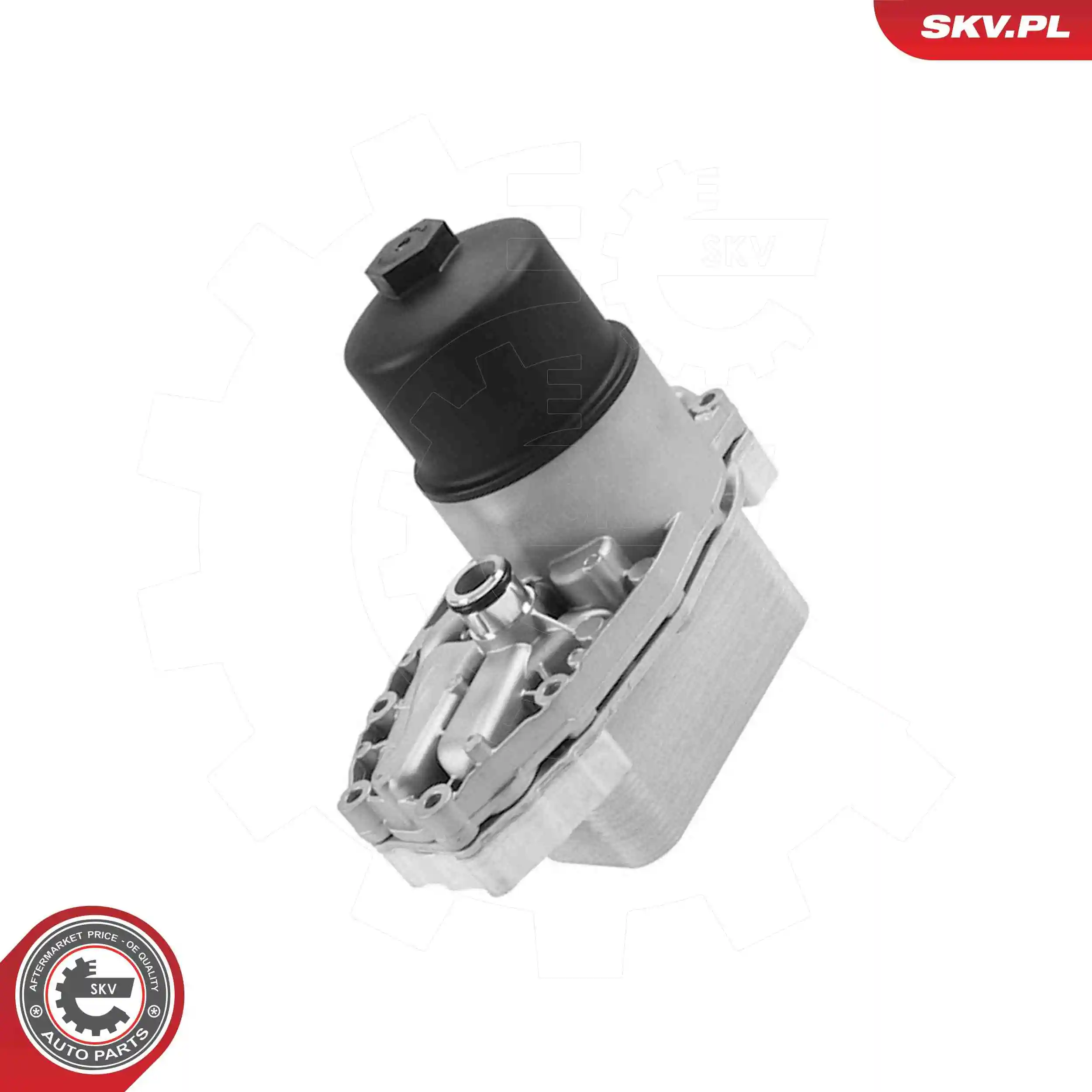 Oil Cooler, engine oil 31SKV438