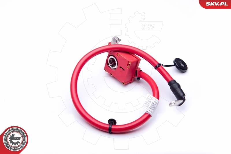 ESEN SKV 96SKV305 Battery Adapter