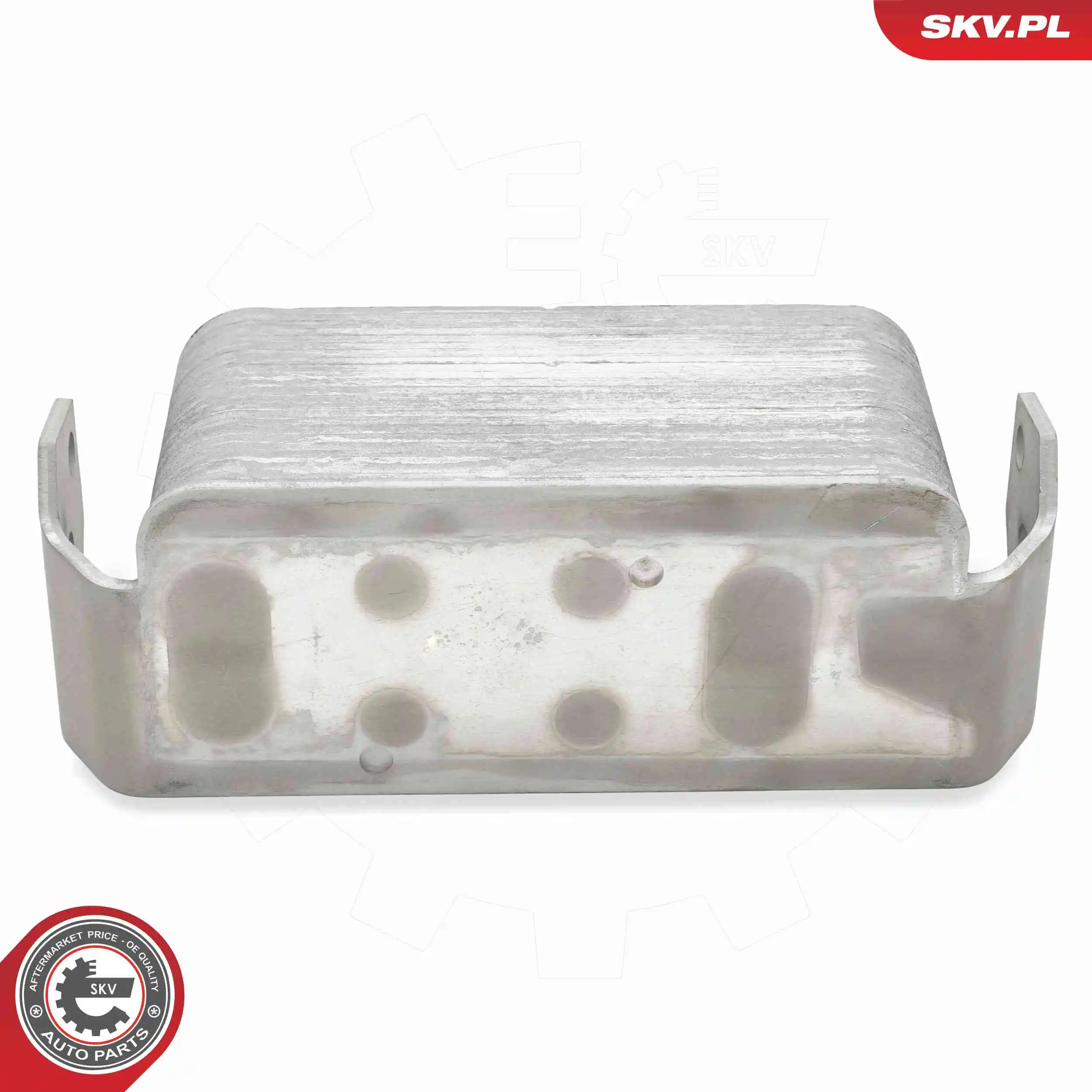 Oil Cooler, engine oil 31SKV347