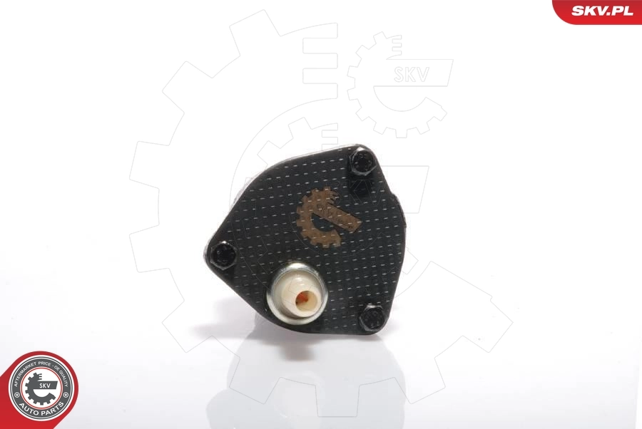 Vacuum Pump, braking system 18SKV001