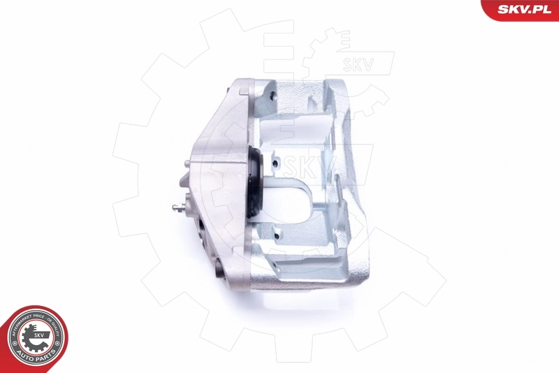 Brake Caliper 44SKV121