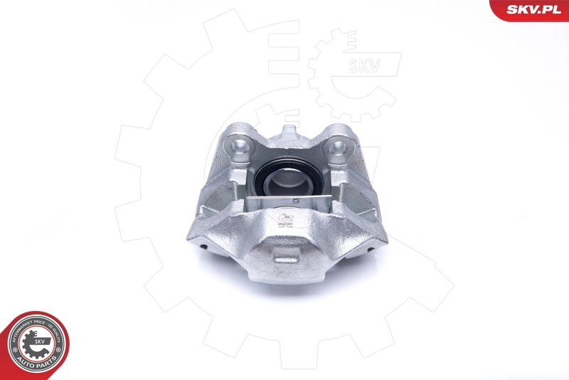 Brake Caliper 45SKV061