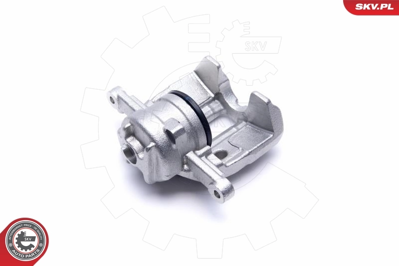 Brake Caliper 55SKV722