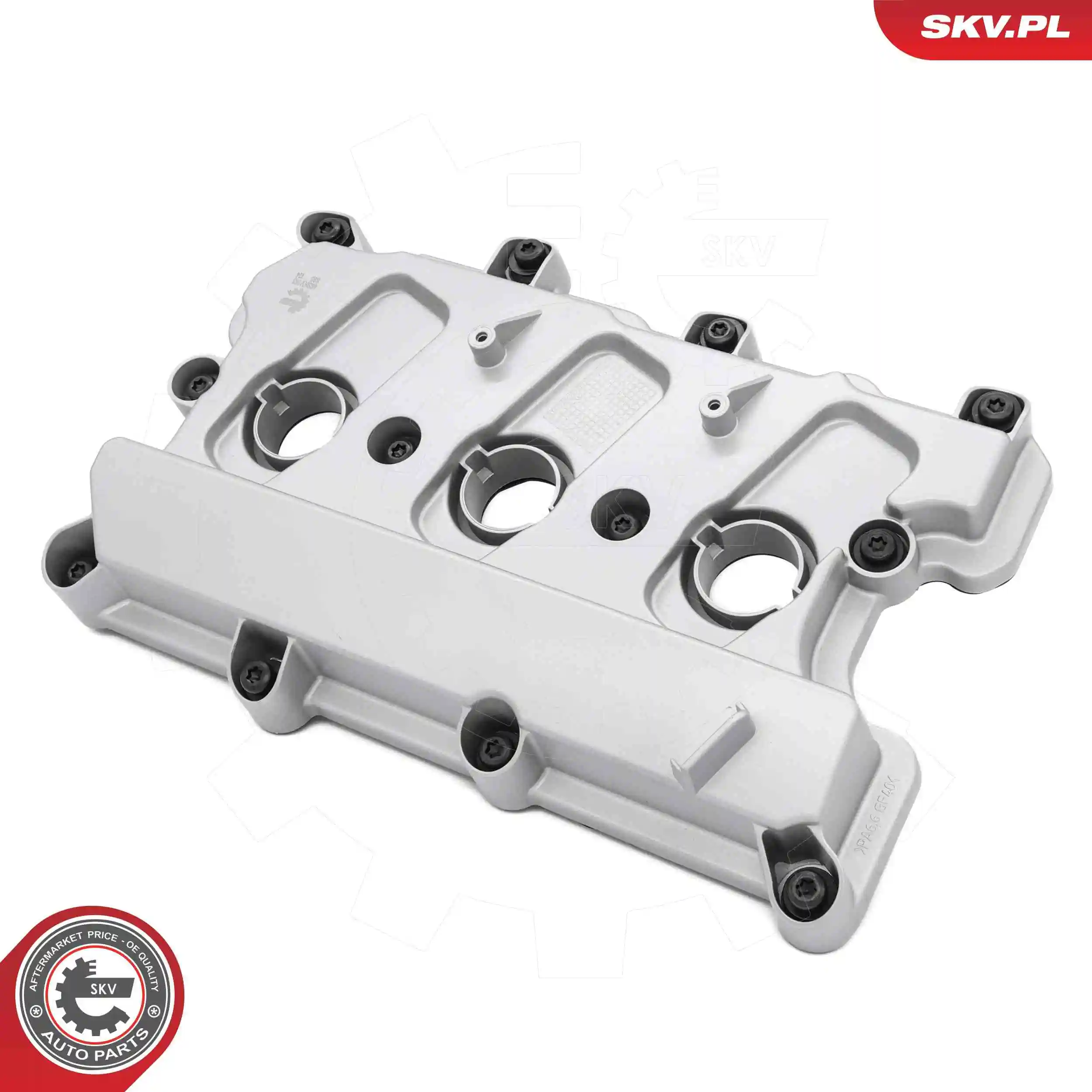Cylinder Head Cover 48SKV163