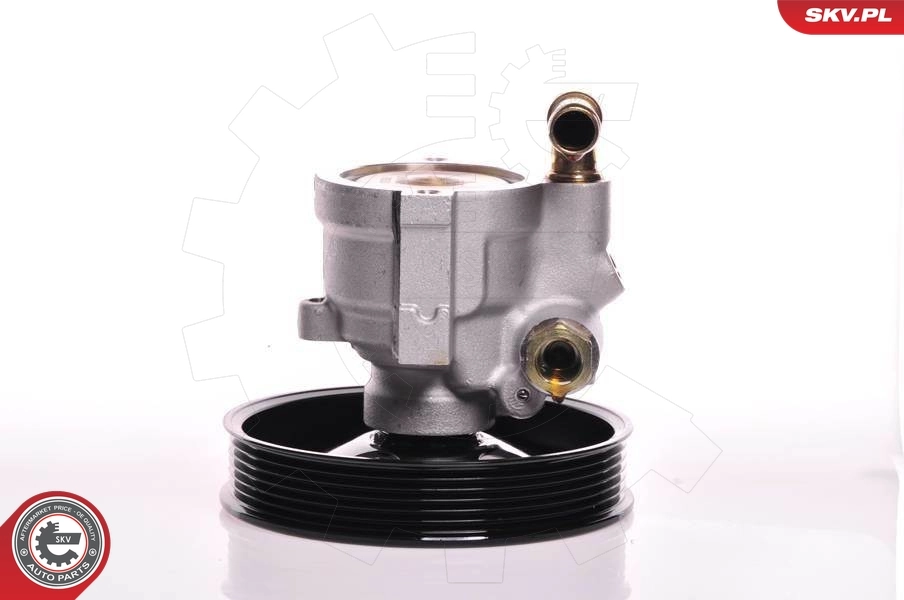 Hydraulic Pump, steering 10SKV164