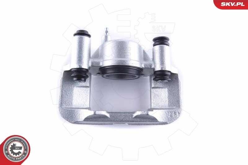 Brake Caliper 55SKV301