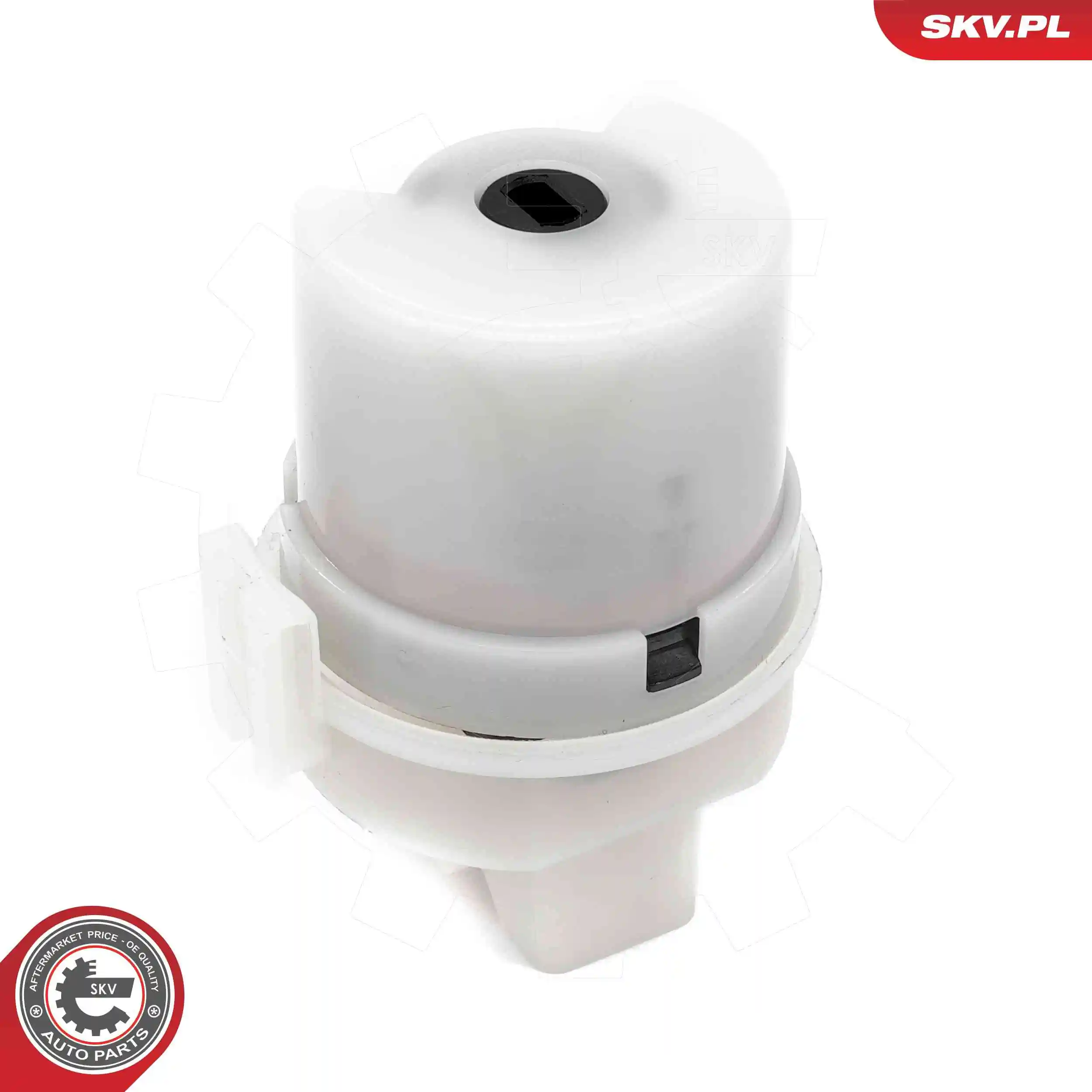 Ignition Switch 65SKV027