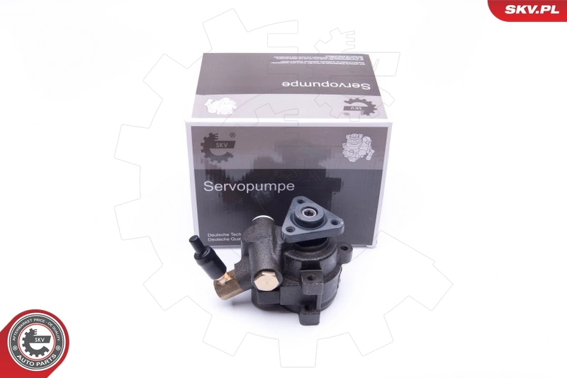 Hydraulic Pump, steering 10SKV253