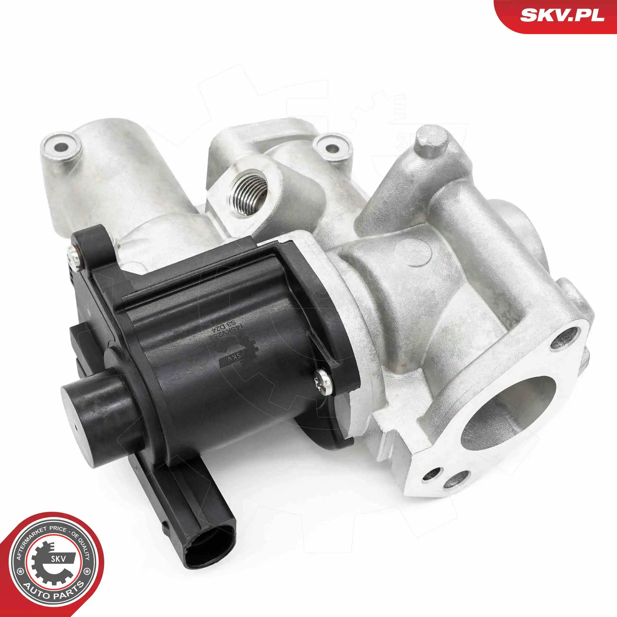 EGR Valve 14SKV253