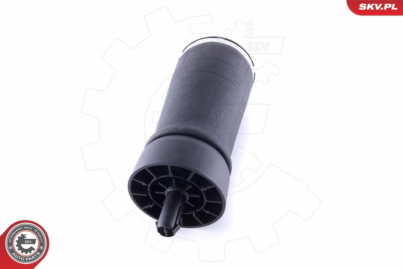 Air Spring, suspension 58SKV016