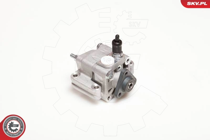 Hydraulic Pump, steering 10SKV109