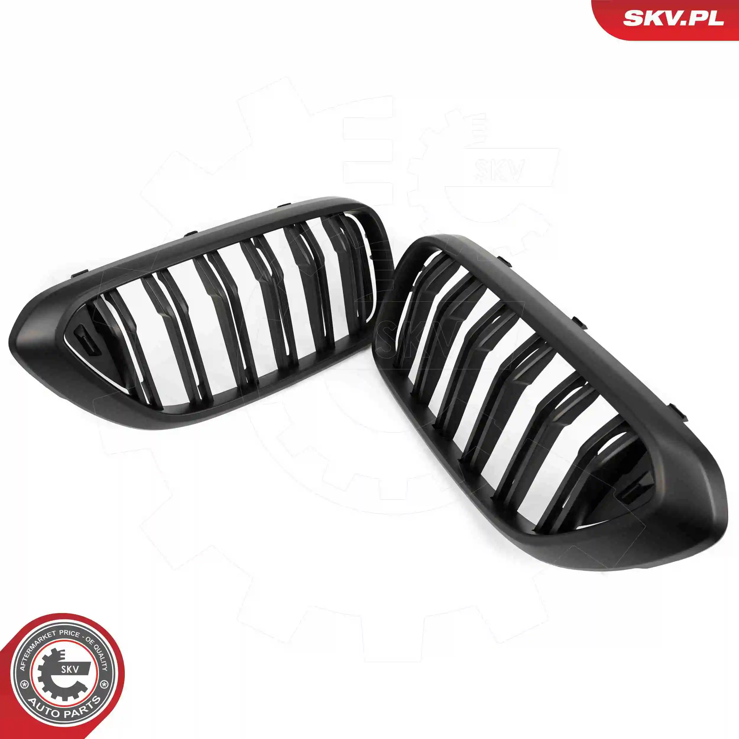 ESEN SKV 66SKV211 Radiator Grille