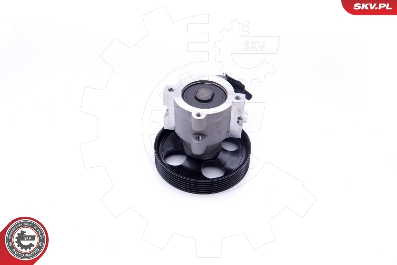 Hydraulic Pump, steering 10SKV250