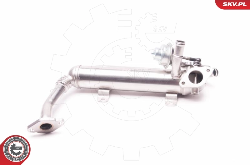 EGR Valve 14SKV118