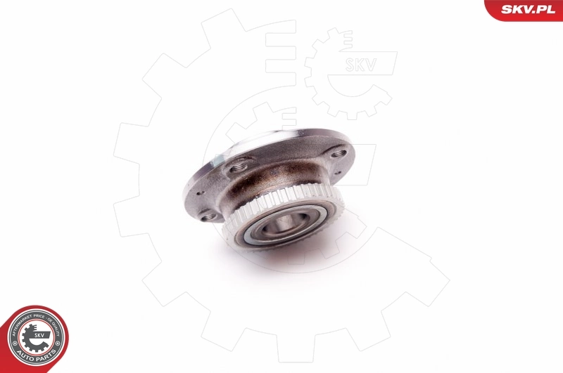 Wheel Bearing Kit 29SKV101