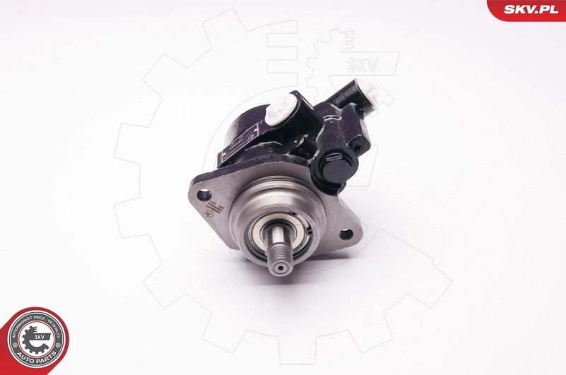 ESEN SKV 1SKV0014 Hydraulic Pump, steering