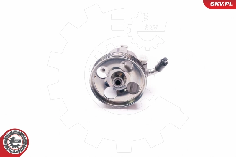 Hydraulic Pump, steering 10SKV218