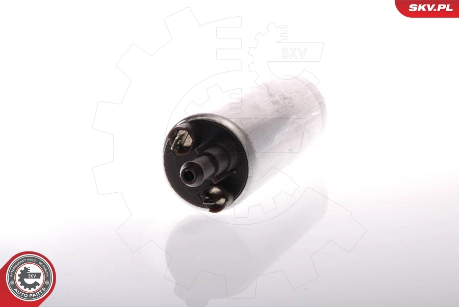 Fuel Pump 02SKV255