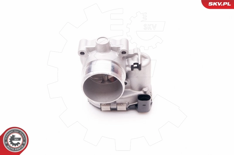 Throttle Body 12SKV068