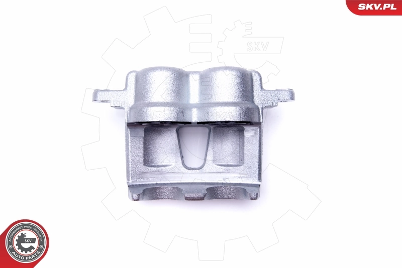 Brake Caliper 44SKV092