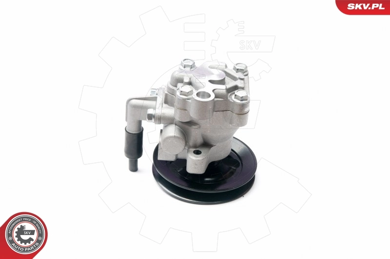 Hydraulic Pump, steering 10SKV204