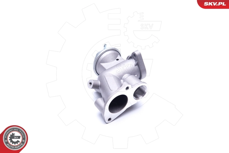 EGR Valve 14SKV180
