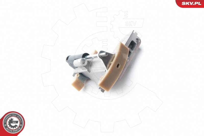 Timing Chain Kit 21SKV010