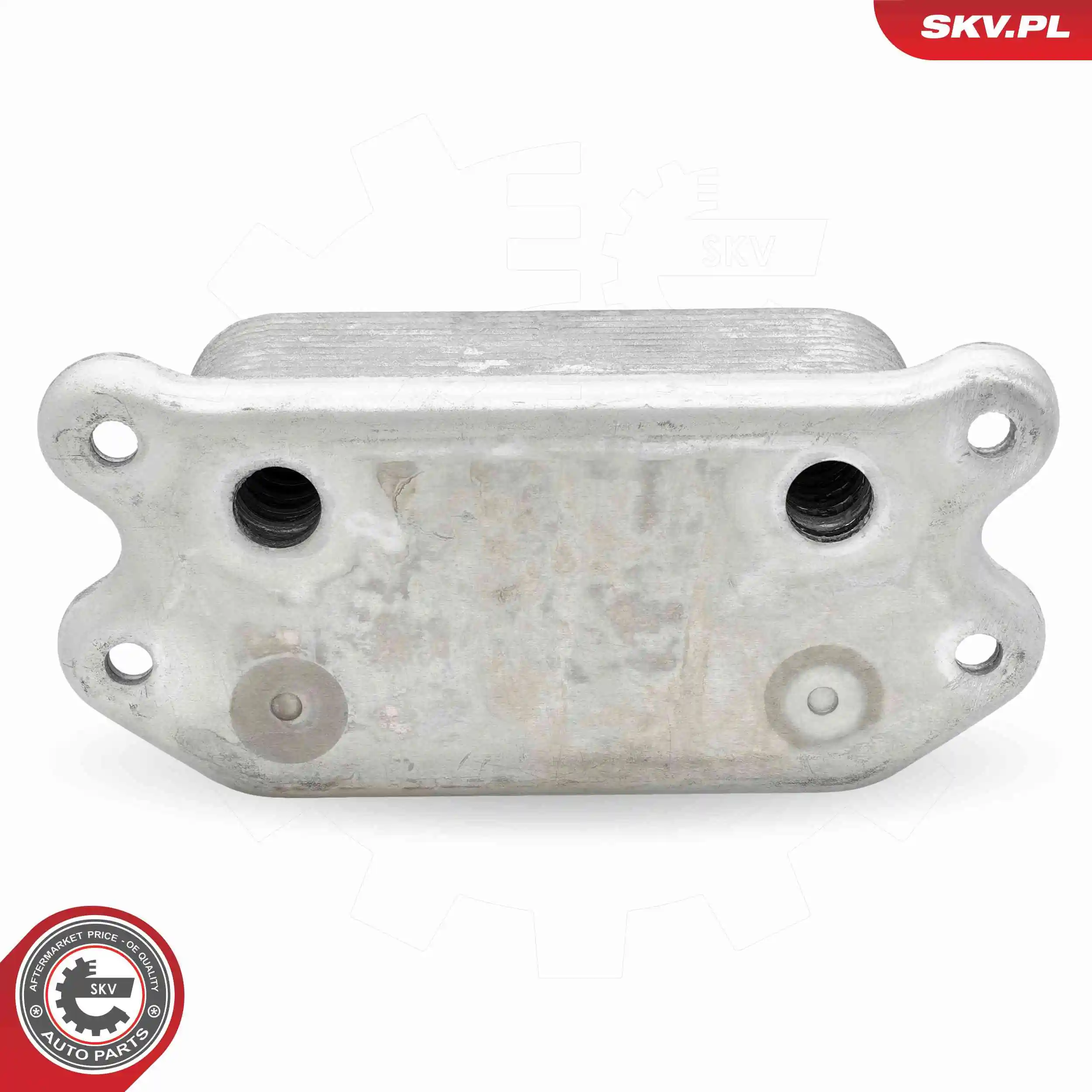 Oil Cooler, engine oil 31SKV305