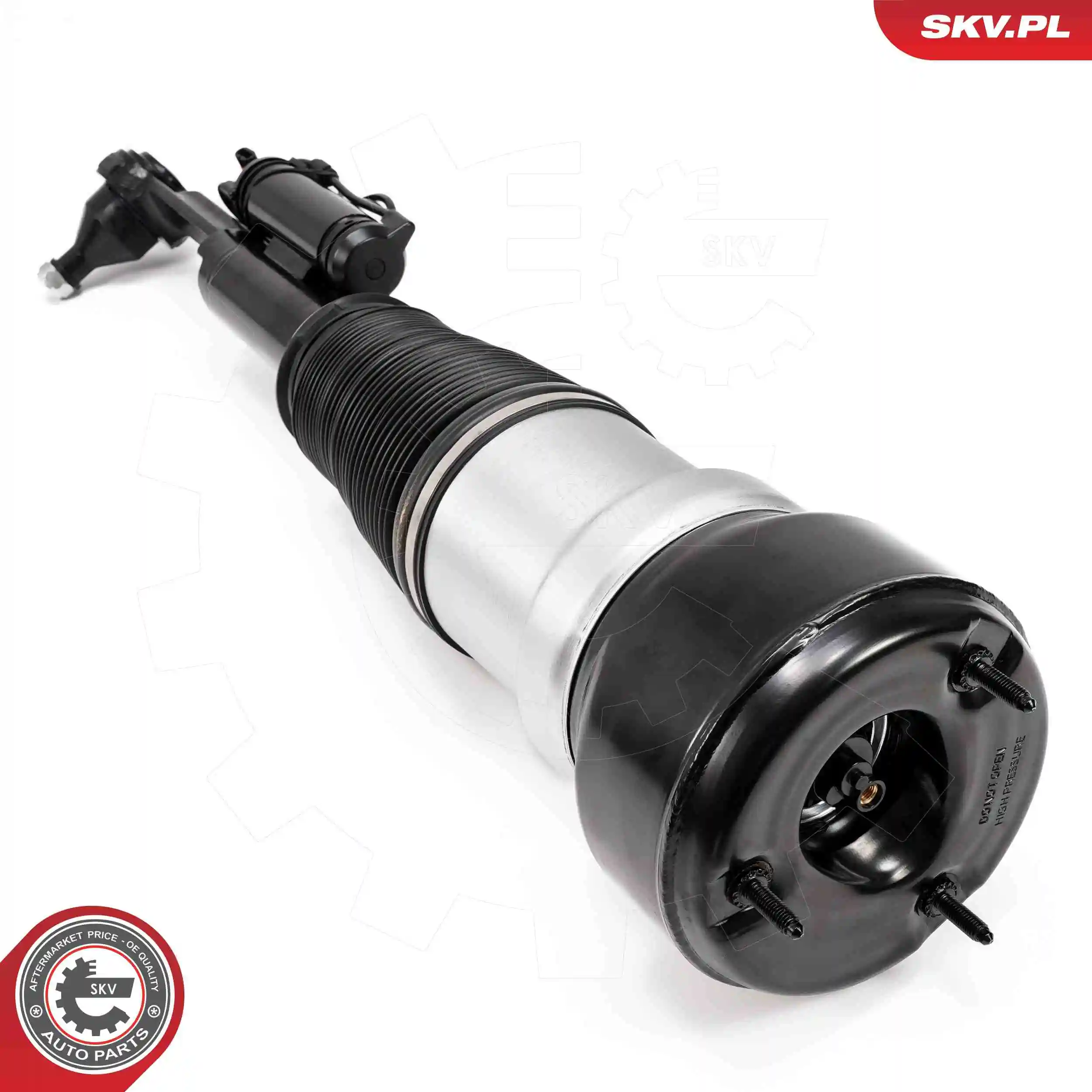 Air Suspension Strut 58SKV722