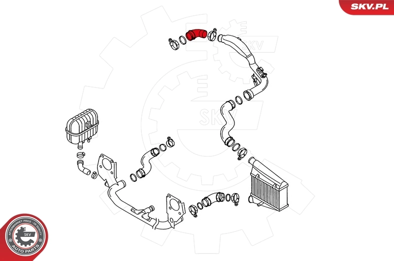 Charge Air Hose 24SKV029